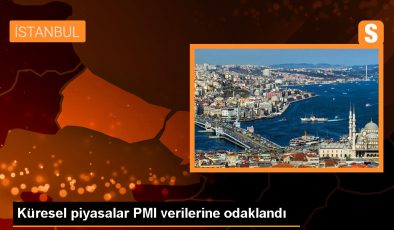 Küresel piyasalar PMI verilerine odaklandı